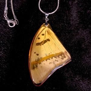 Real butterfly necklace